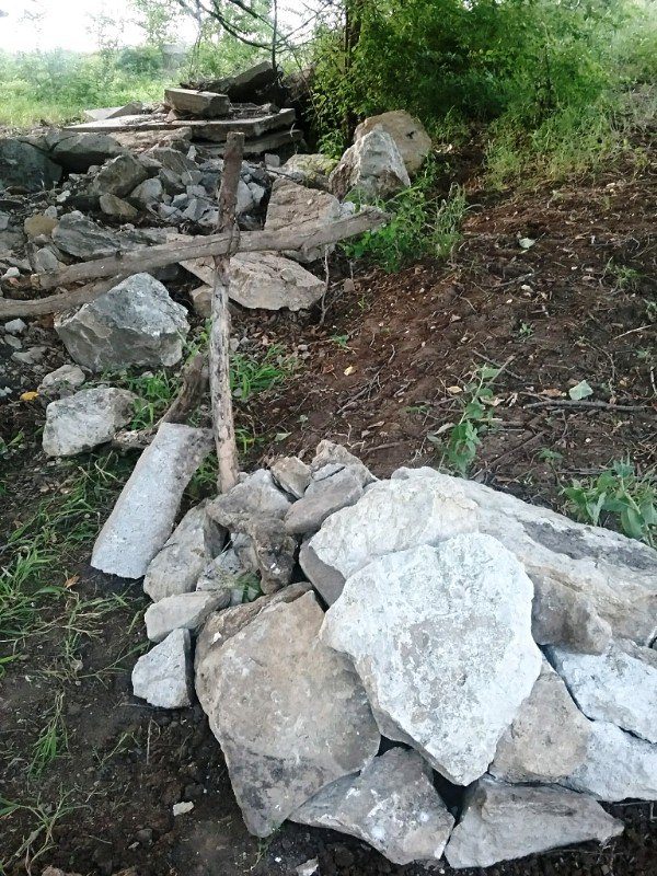 Coyote’s Last Romp (Caregiver Story!)